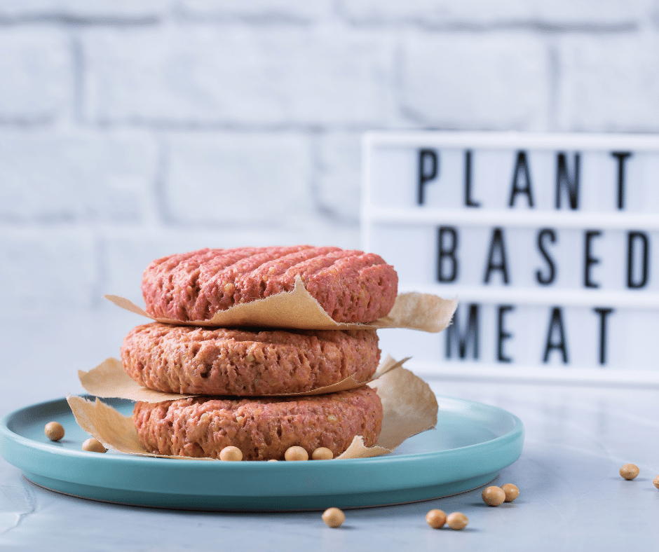 Plant based meat interview with talking plant protien