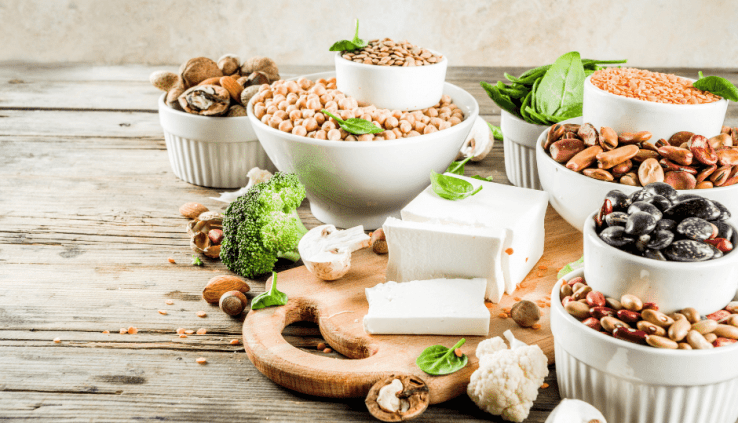 Plant protein in the food industry