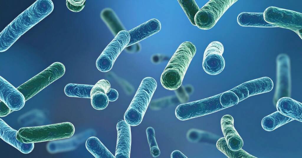 New Food Magazine: Positioning prebiotics, postbiotics and fermentates in gut health innovation